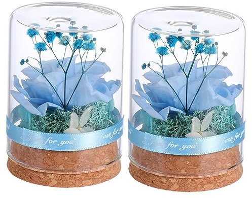 Garneck 2 STK Konservierte Blumenverzierung Strumpffüller Glasglocke Rose Konservierte Rose Ewiges Rosenglas Ewige Sockel Aus Holz Fertiges Produkt Blumenkasten