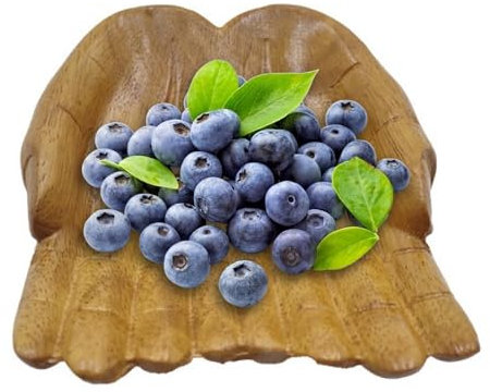 Nuyhgtr Holz Hand geformte Schüssel, Offering Bowl, Buddha Hand Bowl