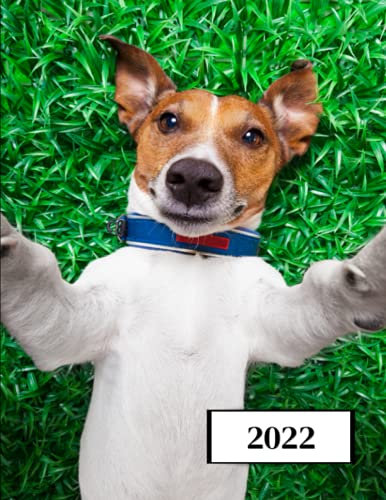 2022: Kalender 2022-2023 (Januar bis Dezember) - Kalenderjahr - Für Studenten, Berufstätige und Privatpersonen - Wochenplaner A4