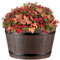 Gardening Naturally Wooden Barrel Effect Crocus Pot - Recycled Plastic, UV & Frost Resistant, By Flowersea (Red Wine, 40cm)