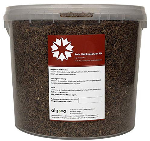 algova Rote Mückenlarven FD gefriergetrocknetes Natur-Fischfutter für Zierfische, Diskus, Skalar, Betta, Koi, Garnelen, Krebse und Wasserschildkröten (5L = 600g)