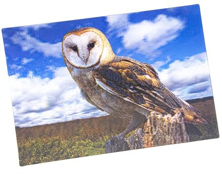 3 D Ansichtskarte Schleiereule Postkarte Wackelkarte Hologrammkarte Tiere Schleiereulen Eule Vogel Greifvogel