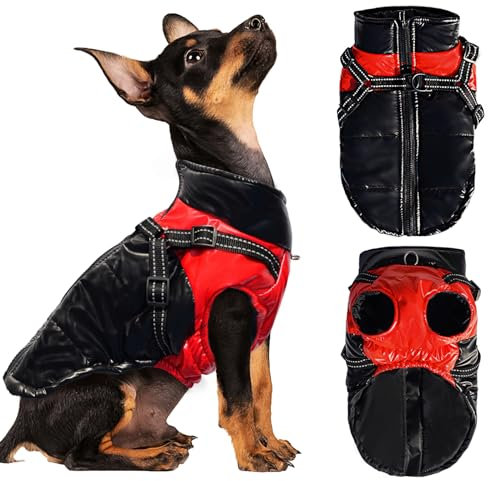 Darryy Hundejacke Winterweste Jacken Hundemantel Hundepullover Haustier Skifahren Kostüm Ärmellose Baumwolle Gepolsterte Weste Mit Brustgurt Gurt (M)