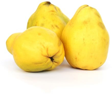 semi di mela cotogna, semi di albero di mela cotogna alberi di mele cotogne semi di piante piante medicinali perenni, piante da giardino roccioso semi di albero zona frutticola, frutta 250pcs