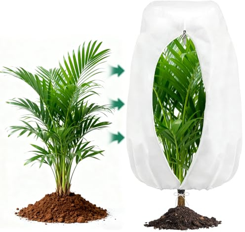 AOOWU Voile Hivernage Plante Exterieur, 120*180CM Housse Hivernage pour Plantes avec Cordon de Serrage et fermeture éclair, Housses de Protection Contre Le Gel, Bache Hivernage Protection Plante Hiver