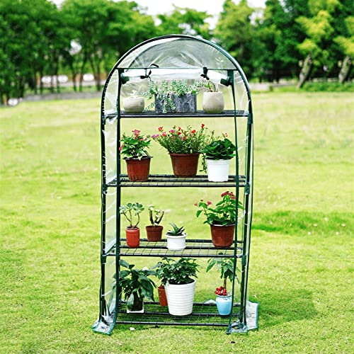 HOLGVE Serra da Giardino in Lamina di Alluminio con Griglie di stoccaggio in Metallo, Telaio Freddo con plastica in PVC Trasparente, Piante Multiuso Impermeabile e Resistente alle intemperie