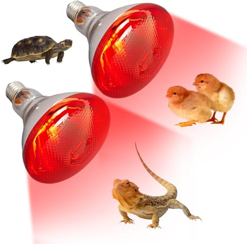 BAIFULAI 2 lampadine a luce rossa per polli, 250 W, E27, lampada termica per pulcini, lampada riscaldante per pollaio, in vetro al quarzo ispessito, lampada per pulcini, suinetti, cuccioli, lunga