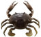 Savage Gear TPE 3D Crab Fishing Bait, 1/4 oz, Natural Peeler, Durable TPE Composition, Fast Sinking, Lifelike Bouncing Action