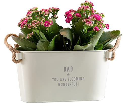 Dust and Things Engraved Metal Plant Pot 'Blooming Wonderful' - Unique Indoor Outdoor Flower Planter - Fathers Day or Birthday Gift for Dad - Small