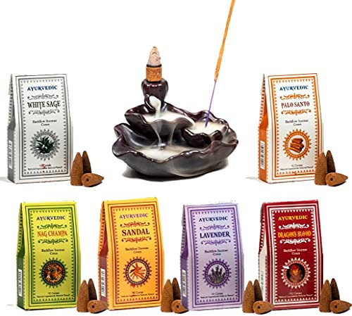 Lot de 60 cônes d'encens ayurvédique assortis backflow à fontaine reflux cascade + cadeau porte-encens cônes lotus