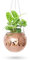 OtNiap Pot de fleurs en forme de boule disco – avec crochet et support en bois pour bureau, boule disco à suspendre pour décoration d'intérieur, décoration bohème, boule disco – 15,2 cm