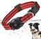 Airtag Hundehalsband, 100% Wasserdicht Integriertes Apple Air Tag Hundehalsbänder, Reflektierendes GPS Hundehalsband mit Hartem PC AirTag Halter Hülle für Kleine Mittlere Große Hunde (Rot)