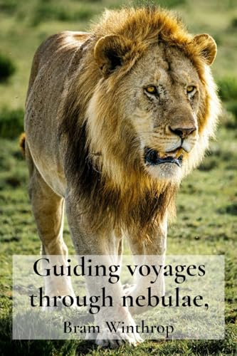 Guiding voyages through nebulae,: Into Untamed Territories