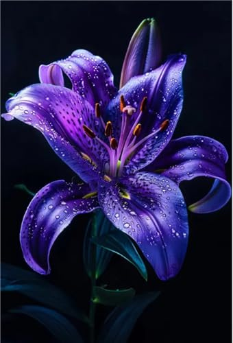 Schön Lilien MehrjäHrige, Farbenfrohe Lilium-Rhizom In GroßPackungen, Fachgerecht Gepflanzt, GartenverschöNerung-6 Rhizom-C