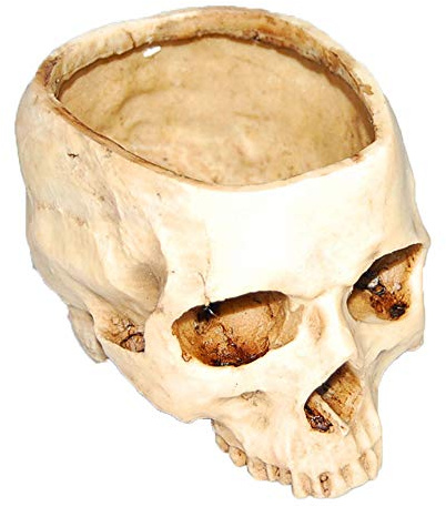 VOANZO Modernes Resin Skull Shaped Head Design Blumentopf Pflanzgefäß Container Dekoration Große Blumentopf Set Requisiten für Home Office Schreibtisch Dekoration