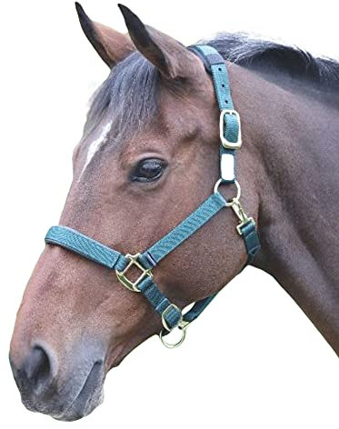 Shires Topas Halfter - 387, dunkelgrün, XS Pony