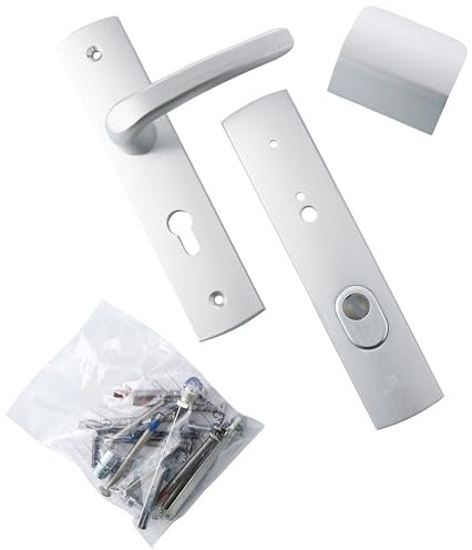 Bricard 9920071 Ensemble de Poignées Blindées sur Plaque EMUST Palière Béquille + Aileron pour Porte d’Entrée (pour Cylindre Européen), Coloris Argent