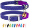 CollarDirect Collier pour Chat en Cuir de Sécurité avec Sangle Elastique, pour Chaton avec Cloche - Noir, Bleu, Rouge, Orange, Vert Lime, Violet (15-18 cm)