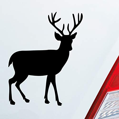 Hellweg Druckerei Hirsch Reh Bock Deer Wild Jagd Wald Jäger KFZ Car Auto Aufkleber Sticker Heckscheibenaufkleber