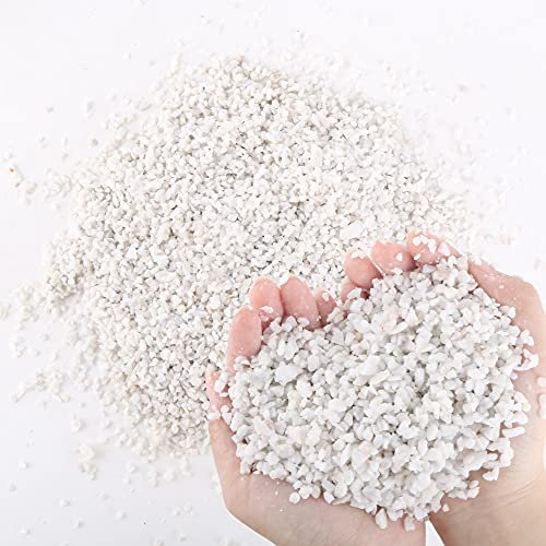7lb White Cactus Pea Gravel Rocks,1/4 Inch Pebbles for Indoor Plants, Natural Succulent Rock and River Rocks Decorative for Aquariums, Vases, Outdoor Gardening, Top Dressing for Potted Plants
