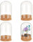 NBEADS 4 ensembles Cloche de Dôme D'Affichage en Verre de Fleur Éternelle, 7x5 cm Présentoir en Verre avec Bouchons en Liège Demi-Rond Transparent Vitrine Décoration pour Mariage Saint Valentin