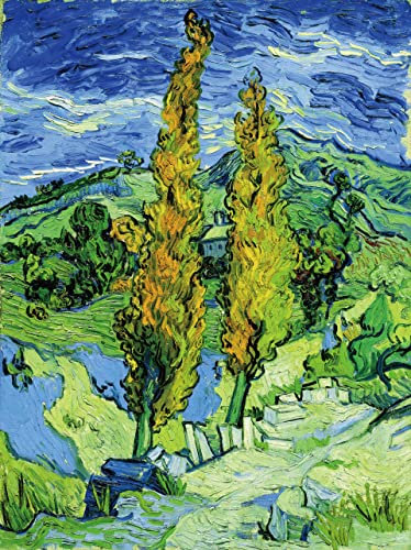 liziciti 5D Diamond Painting Kits Van Gogh für Erwachsene, 30 x 40 cm Diamond Art Kits Full Drill Leinwand Kunst Bild DIY für Wanddekoration (Pflanze)
