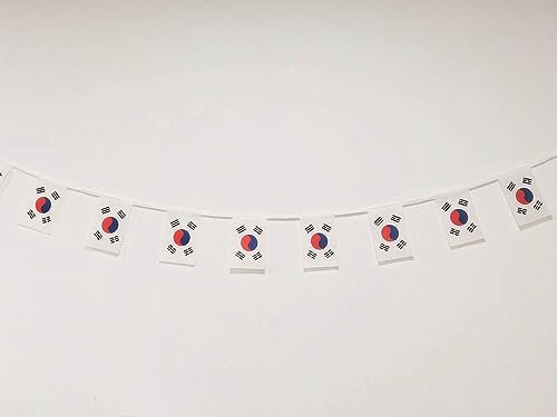 Pandiui23 Guirnalda de Corea 40 unidades, 11.4M, Banderas Rectangulares Blancas de Poliéster 14 x 21 cm (Corea del Sur)
