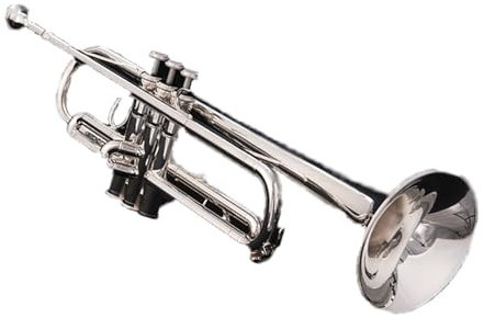Blechblasinstrumente Trompete B-Musikinstrument, Anfänger, Profi, Trompete Spielend, Versilbert, Prüfung