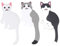 LIOOBO Starker Stockhaken 3 Stücke Waschbar Wiederverwendbare Wandhaken Tier Klebstoff Haken Nahtlose Haken Abnehmbare für zu Hause Küche Badezimmer （Katze） Türhaken Klebend