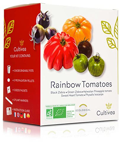 Rainbow Tomatoes – Bio Tomaten Anzuchtset -100% Öko Samen – Indoor Garten – Das perfekte Geschenk – Gemüse Set (Green & Black Zebra, Sweet Heart, Haiwaiian Pineappel, Physalis) - CULTIVEA®