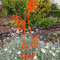 Décoration Jardin métal Nain GNOME - Orange - 40X16cm