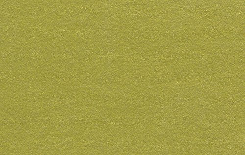 Clairefontaine GMB125Z Packung (mit 10 Bögen laminiertem Karton, DIN A1, 59,4 x 84 cm, 1,25 mm, 750 g, ideal für Bilderrahmung und für Bastelprojekte) gold