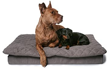 Lous großes Hundebett XXL 120cm Grau mit abnehmbarem Topper, formstabil und bequem, Hundekissen Unterwegs, waschbar 90 Grad, große Hunde, mittelgroße Hunde (XXL ca. 120x80x12cm, Anthrazit Grau)