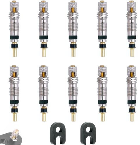 IBRIQO® Set 10 Obuses Válvula Presta 2 Llaves de Obús | Repuesto Válvulas Tubeless Bicicleta MTB y Road | Evita Obstrucción por Liquido Tubeless Antipinchazo | Recambio Válvula Bici