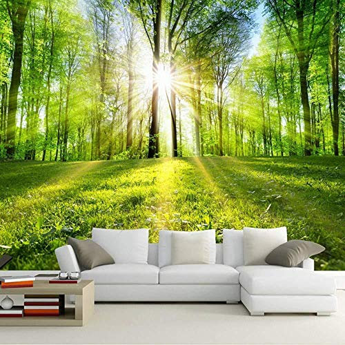 Tapete Foto Poster Riesen Fototapete 3D Wald Sonnenschein Natur Landschaft Wandbild Wohnzimmer Schlafzimmer TV Sofa Hintergru Tapete 3d wandbild tapeten vintage Moderne Hintergrundbild-430cm×300cm