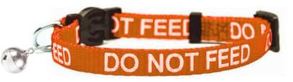 LARRYROO Katzenhalsband mit Aufdruck Do Not Feed, weiches Nylon und Sicherheitsschnalle (Orange)