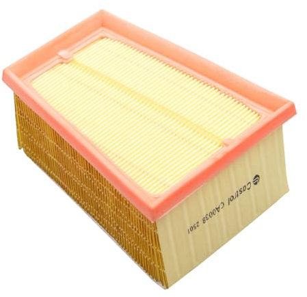 Castrol Filters CA0038 Air Filter