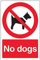 V Safety 54009AU-R No Dogs Prohibition Sign (Red) - Portrait - 200mm x 300mm - 1mm Rigid Plastic, Black/Red