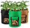 Houdao 3 Stück 10 Gallonen Kartoffel Pflanzsack Tomaten Kübel mit Sichtfenster Klettverschluss und Griffen Wiederverwendbar Pflanztasche für Tomaten Pflanzen Erdbeeren Gemüse Blumen