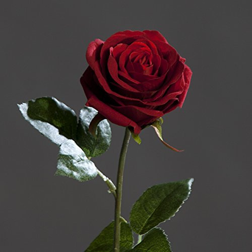 mucplants Künstliche Valentine-Velvet-Rose Rot H:50cm Kunstblumen Künstliche Blume Rose Kunstpflanze
