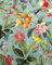 Komar Vlies Fototapete - Birds and Berries - Größe: 200 x 250 cm (Breite x Höhe) - Tapete, Design, Wohnzimmer, Wanddekoration, Schlafzimmer, Blumen, floral, Papagei, Vogel - LJX4-018