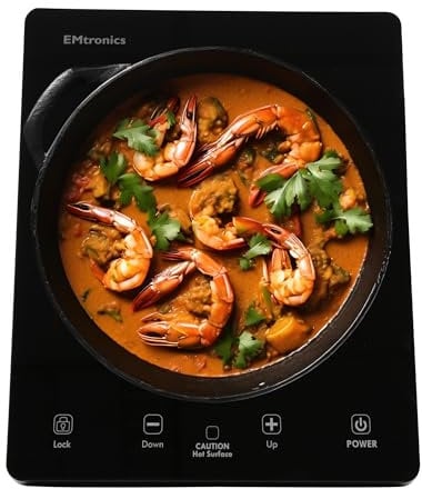 EMtronics 2000W Single Induction Cooker Hob with 9-Level Temperature Control, Black Glass Top with Touch Sensor - Black
