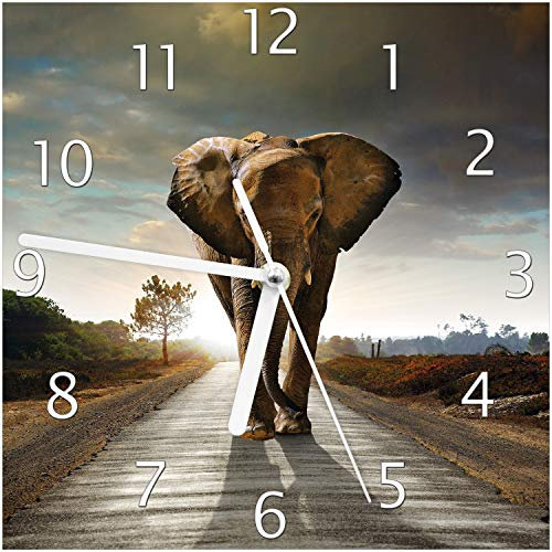 Wallario Design-Wanduhr Elefant bei Sonnenaufgang in Afrika aus Glas, Motiv-Uhr Größe 20 x 20 cm, weiße Zeiger
