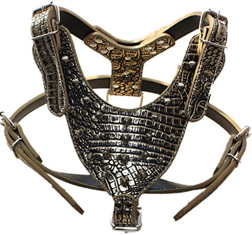 haoyueer Hundegeschirr aus Leder mit Nieten, für mittelgroße und große Hunde, Pit Bull, Mastiff, Boxer, Bullterrier, Größe M und L, Goldbraun