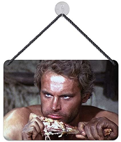 Blechwaren Fabrik Braunschweig GmbH Bud Spencer und Terence Hill KHT05 - Targa in metallo con scritta Terence Hill, 16,5 x 11,5 cm