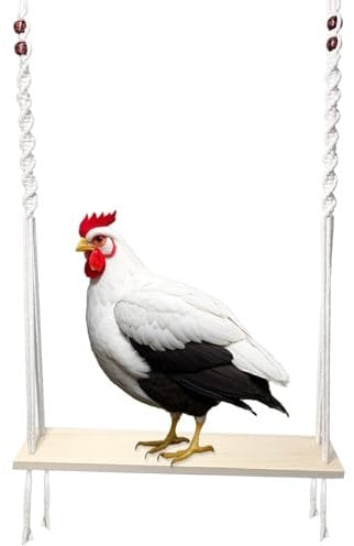 HahaMagic Altalena per Pollaio per Pollaio, Giochi di Galline per Galline e Galli, Accessori per Pollaio in Legno Naturale Fatto a Mano, Regalo per Proprietari di Galline e Amanti dei Polli