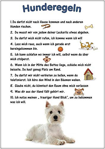 Merchandise for Fans Blechschild/Warnschild/Türschild - Aluminium - 20x30cm - - Hunderegeln - Motiv: Hund West Highland White Terrier - 02