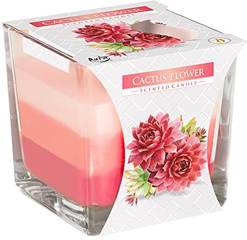 Layered Tri-Coloured Double Wick Scented Candle Glass Jar Home Décor Gift Xmas (Cactus Flower)