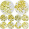 ZACUDA 1000 Stück Gold Nailart Niet Metall 3D Nagel Pailletten Harzfüller Nagel Kunst Glitter Stern Krawatte Feder Mond Harzfüller DIY Nail Art Zubehör Schmuckherstellung
