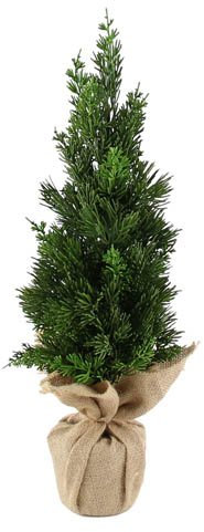 Kaheku Árbol Decorativo tuja verde 50h 1202000087